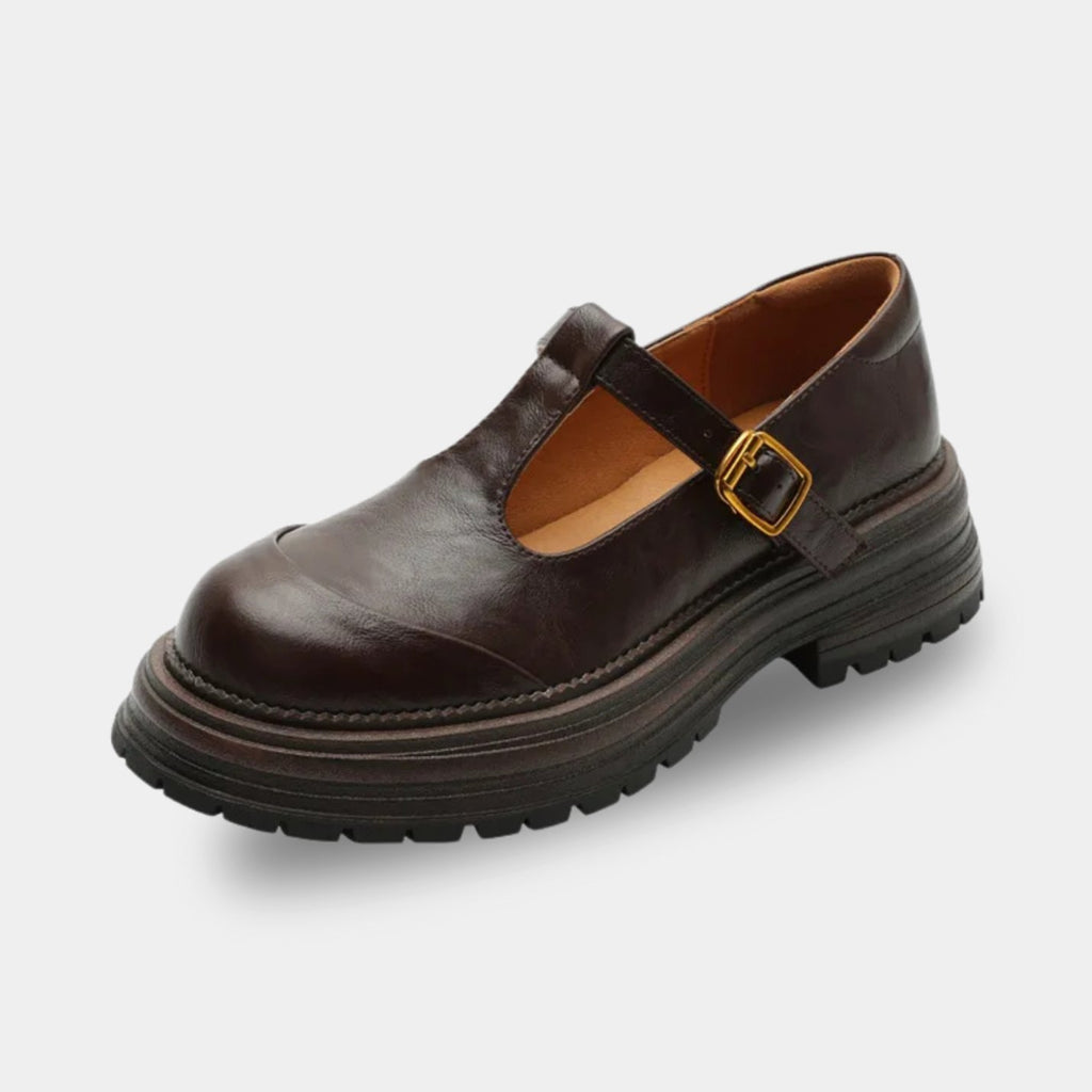 Women's Chunky T-Bar Mary Jane Shoes Round Toe Buckle Flats - Brown