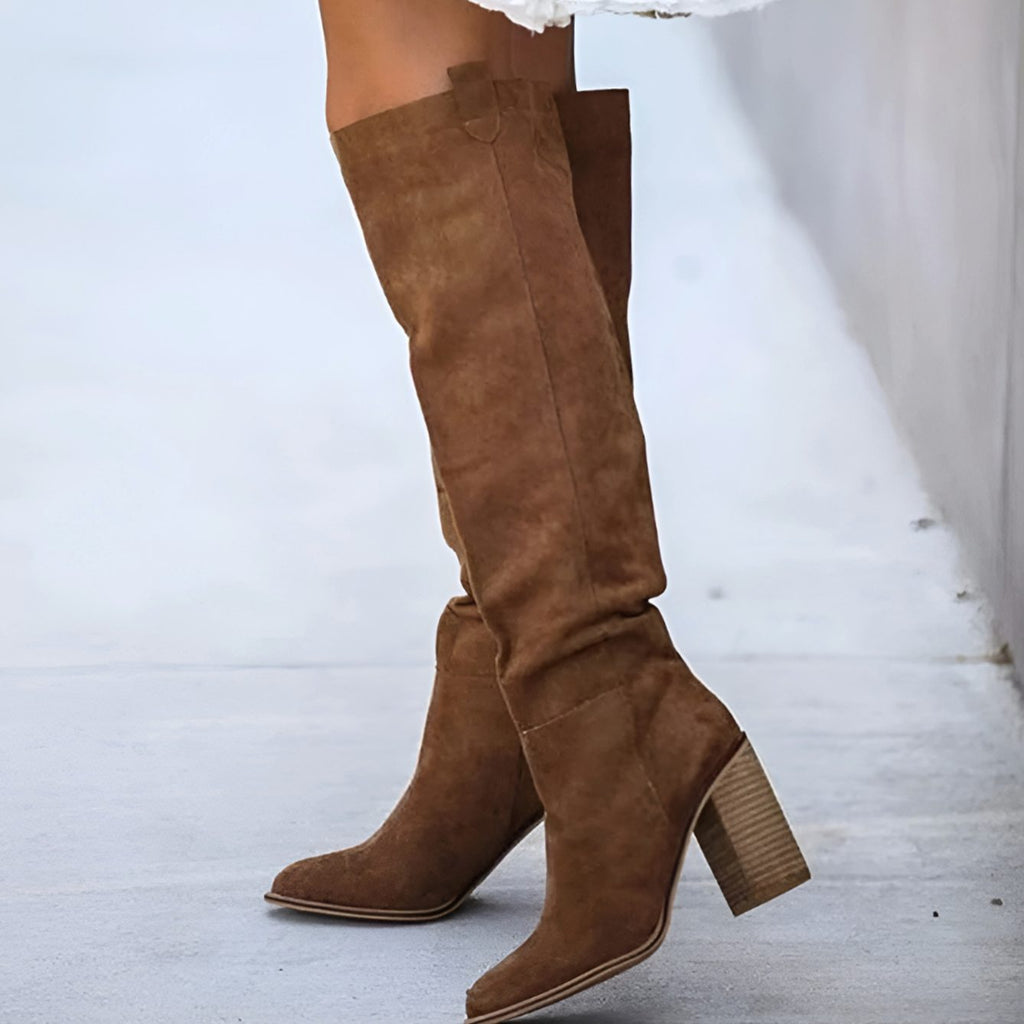Women's Knee-High Pointed Toe Block Heel Suede Boots