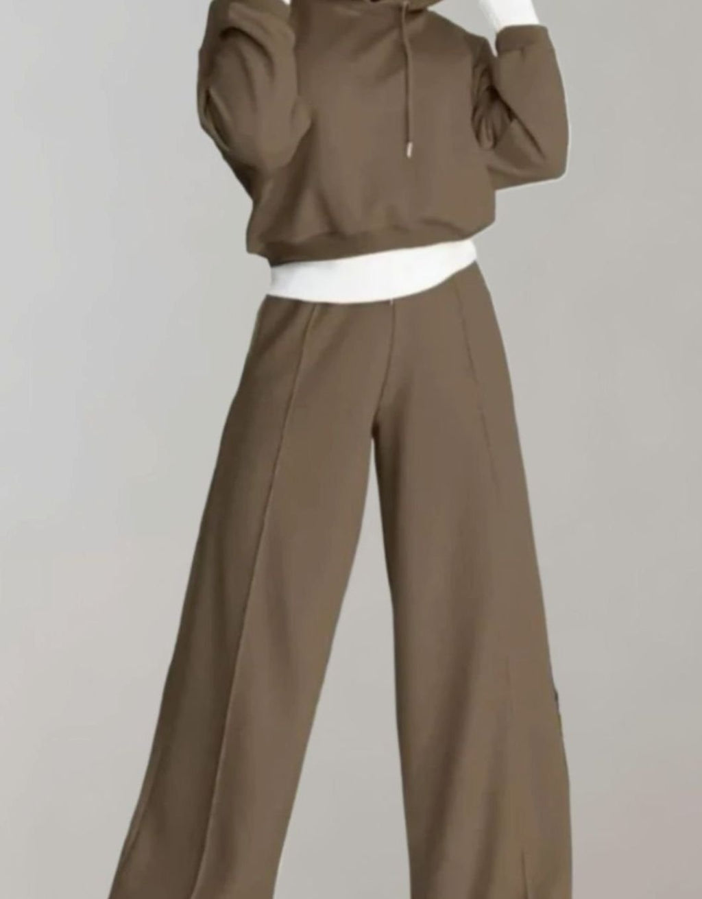Women's Two-Piece Wide-Leg Tracksuit Pants Cropped Hoodie Set - Brown